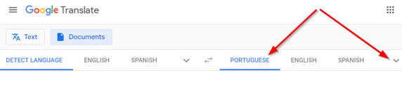 Arrows pointing to language selection areas on Google Translate